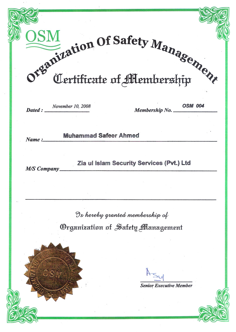 Organization of Safety Management